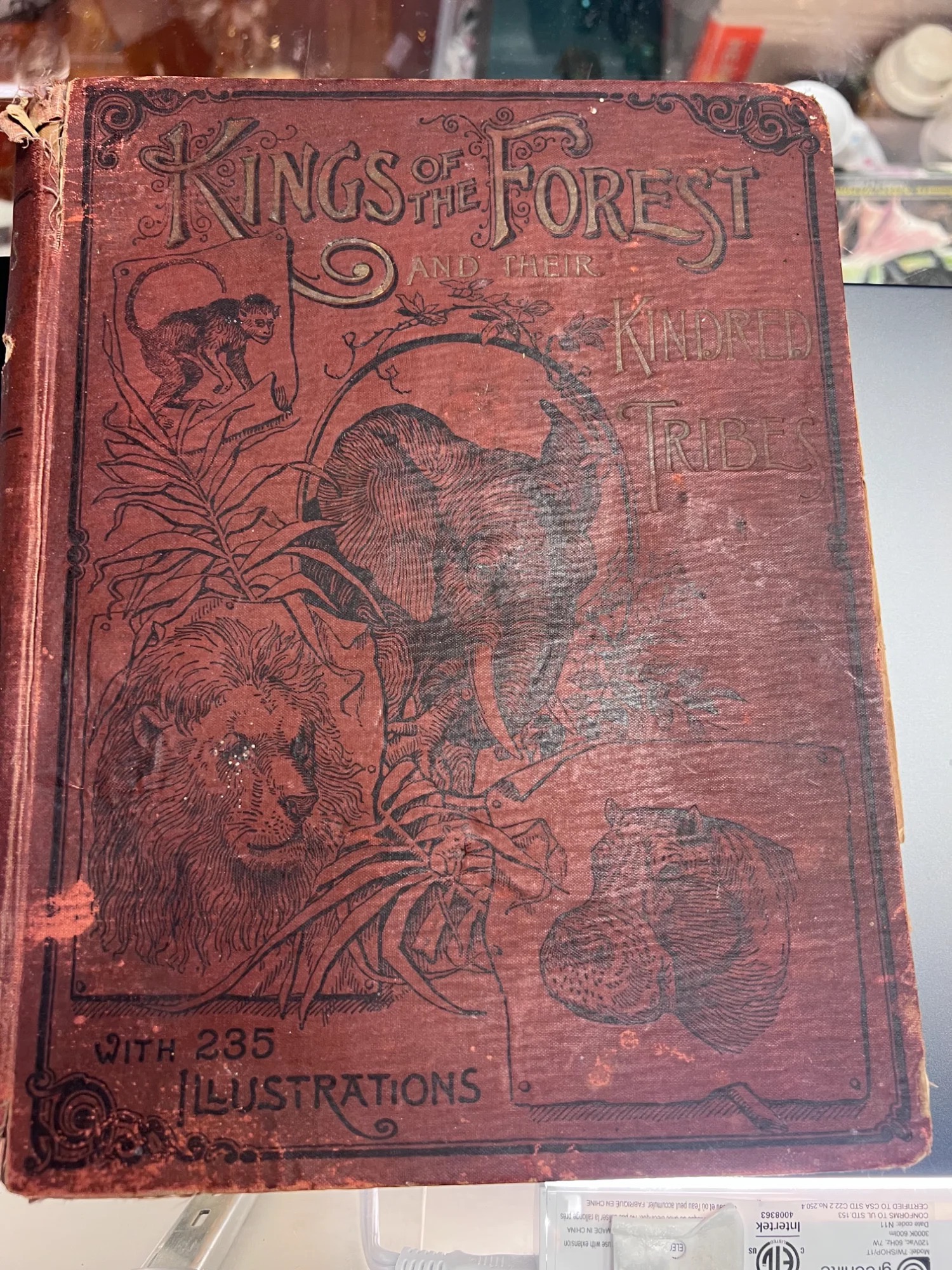 Kings of the Forest - 1892 Antique Book
